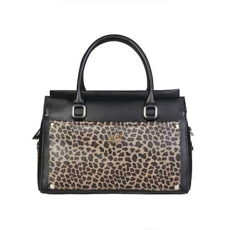Cavalli Class C43PWCDS0062