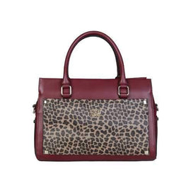 Cavalli Class C43PWCDS0062