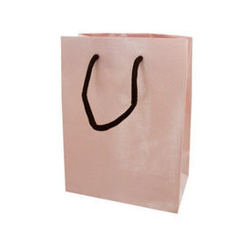 125x95 gift bag pink ( Case of 80 )